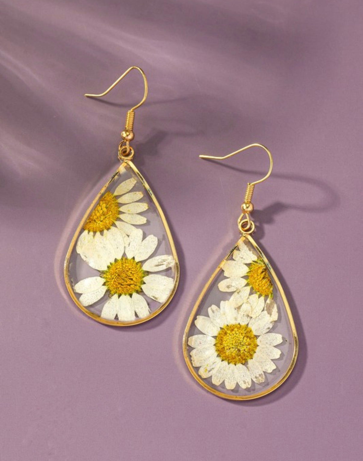 Everlasting Sunflowers
